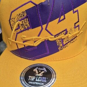 Top Level Yellow and Purple Snapback Hat